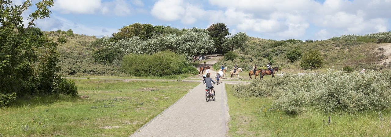 Bakkum Natuur 09.jpg