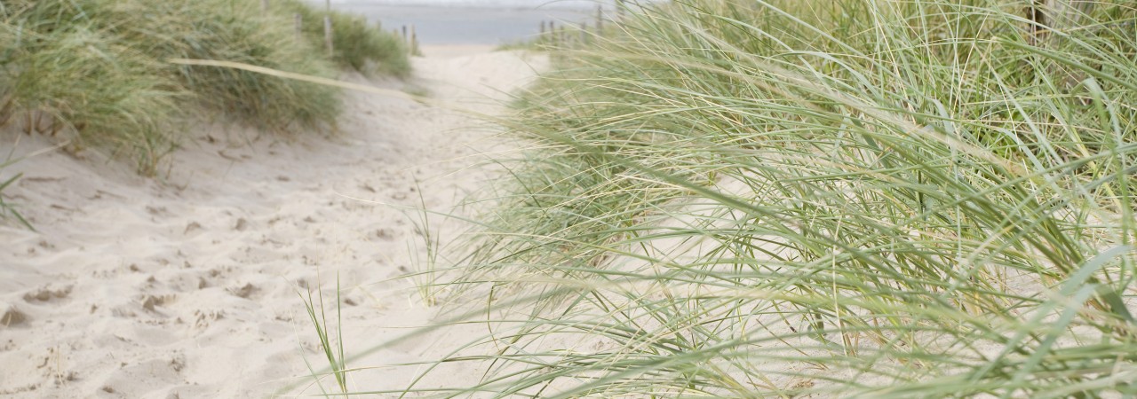 Lakens_Strand Bloemendaal aan Zee.jpg