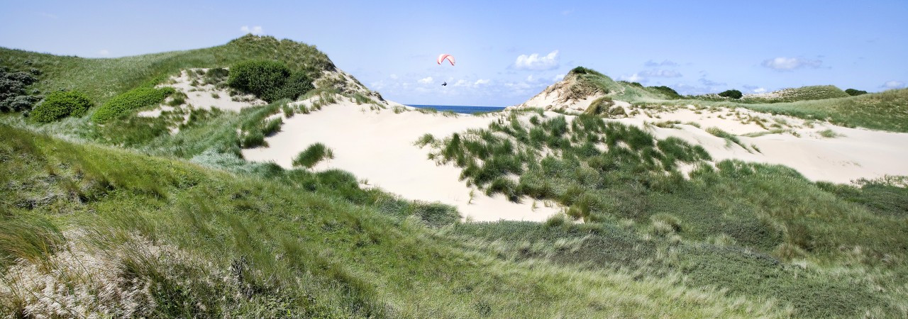 bakkum_duinen